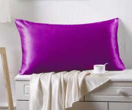 Luxury 100% Silk Pillowcase 19 Momme